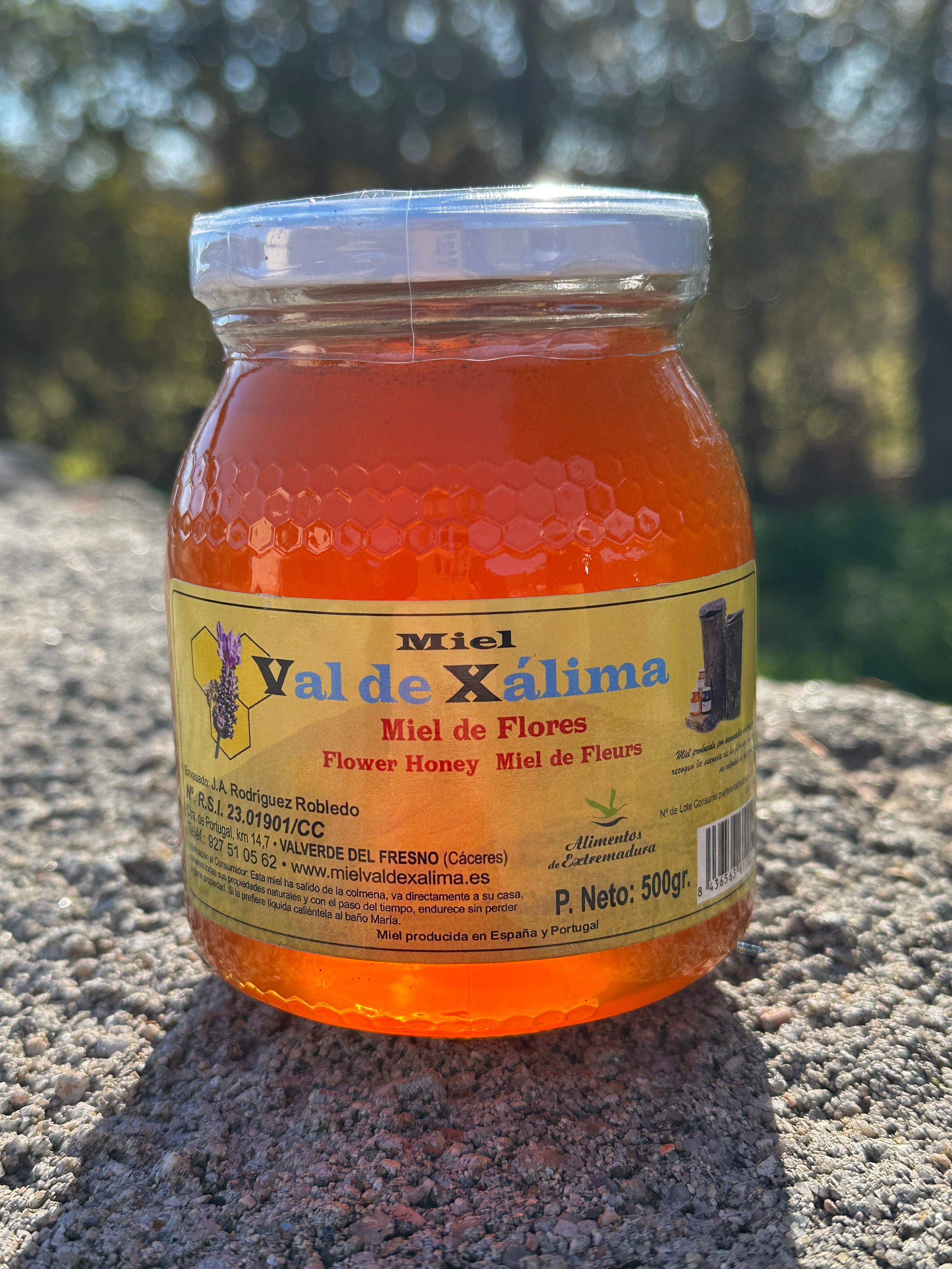 Mel de Flores Natural 500g - Floral e Silvestre da Serra da Gata