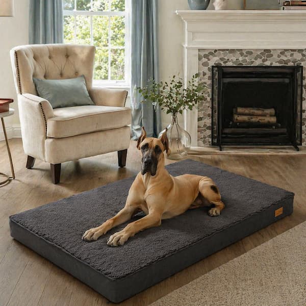 Orthopedic Support Dog Bed – Thick Cushion Comfort, Washable Cover & Joint Relief for Senior Dogs