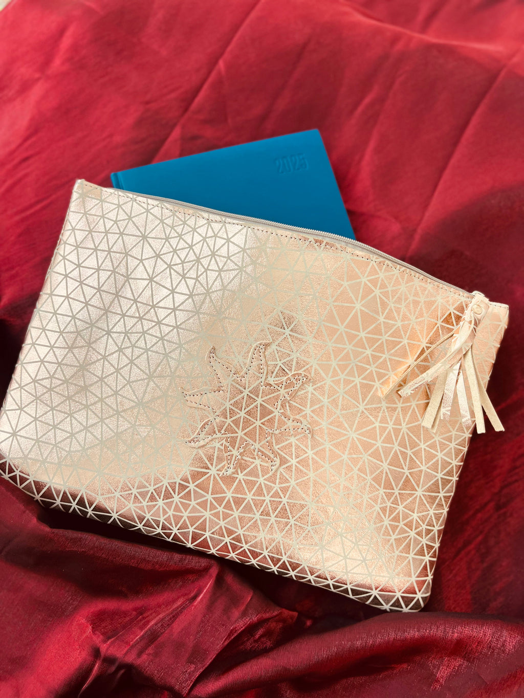 Clutch CLASSY PRO