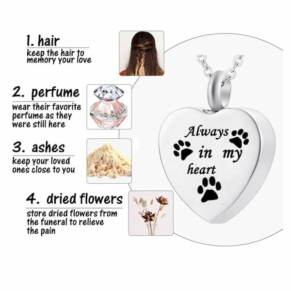 Pet Memorial Ashes Necklace – “Always in My Heart” Paw Print Keepsake Pendant 💜