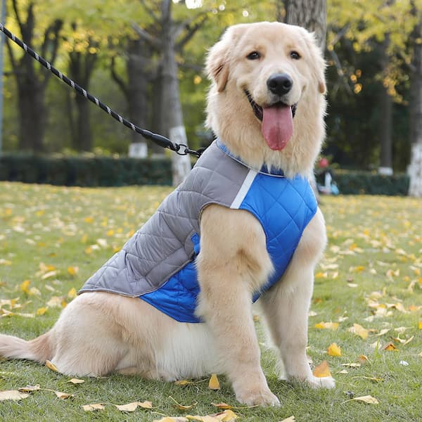 Chaqueta impermeable de invierno para perro con tiras reflectantes – Abrigo acolchado y cálido para perro con anilla en D para arnés (Tallas M-5XL, perros pequeños a grandes)