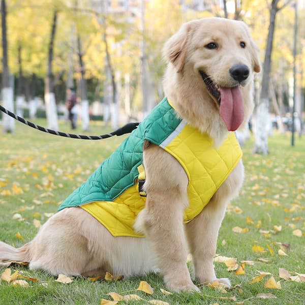 Chaqueta impermeable de invierno para perro con tiras reflectantes – Abrigo acolchado y cálido para perro con anilla en D para arnés (Tallas M-5XL, perros pequeños a grandes)