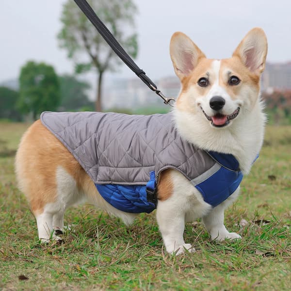 Chaqueta impermeable de invierno para perro con tiras reflectantes – Abrigo acolchado y cálido para perro con anilla en D para arnés (Tallas M-5XL, perros pequeños a grandes)