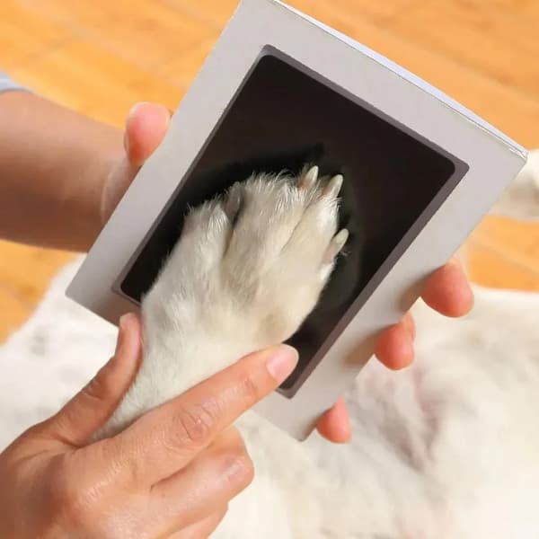 Inkless Paw Print Kit for Dogs & Cats – Clean Touch Pet Keepsake Pad for Paw & Nose Prints