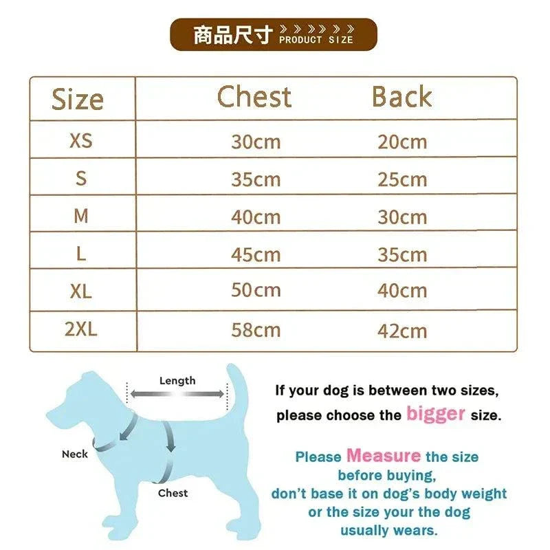 Cute Bear Sweater for Pets | Warm Pullover for Small & Medium Dogs and Cats | Winter Chihuahua Outfit
