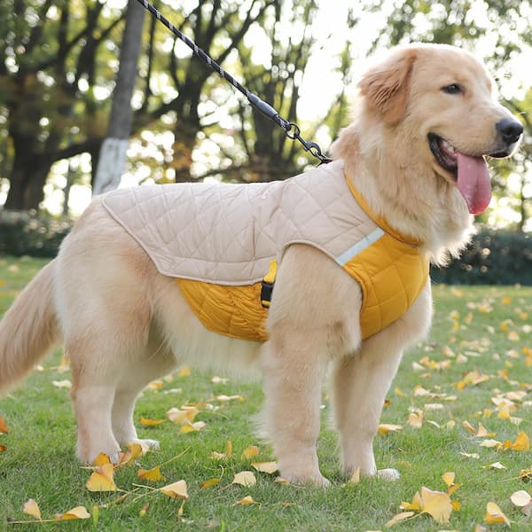 Chaqueta impermeable de invierno para perro con tiras reflectantes – Abrigo acolchado y cálido para perro con anilla en D para arnés (Tallas M-5XL, perros pequeños a grandes)