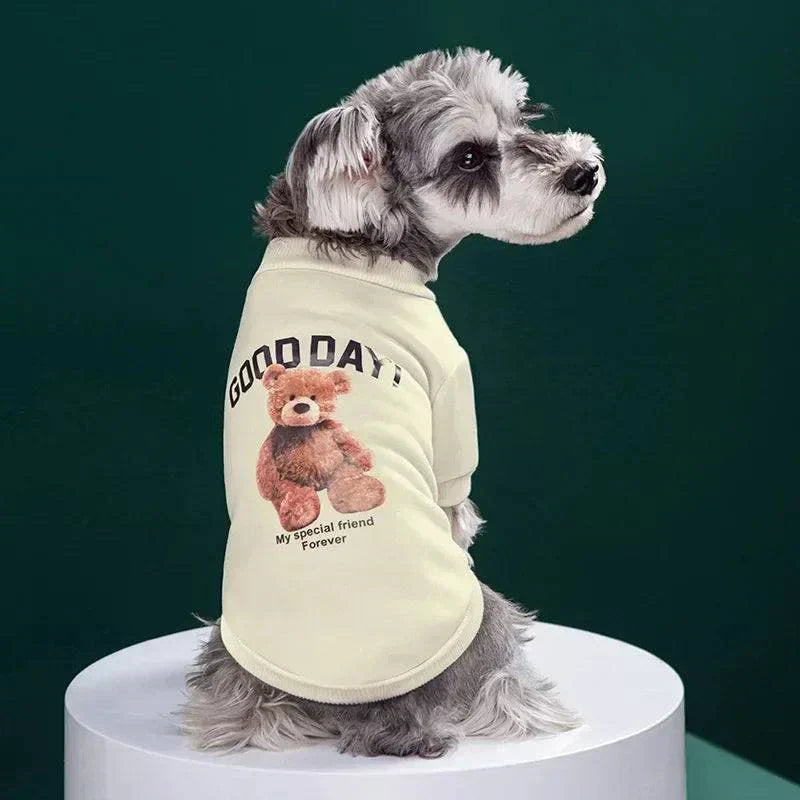 Cute Bear Sweater for Pets | Warm Pullover for Small & Medium Dogs and Cats | Winter Chihuahua Outfit