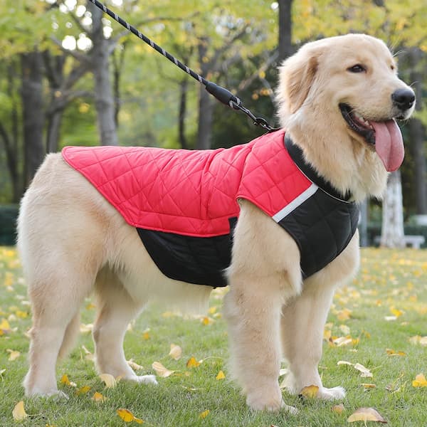 Chaqueta impermeable de invierno para perro con tiras reflectantes – Abrigo acolchado y cálido para perro con anilla en D para arnés (Tallas M-5XL, perros pequeños a grandes)