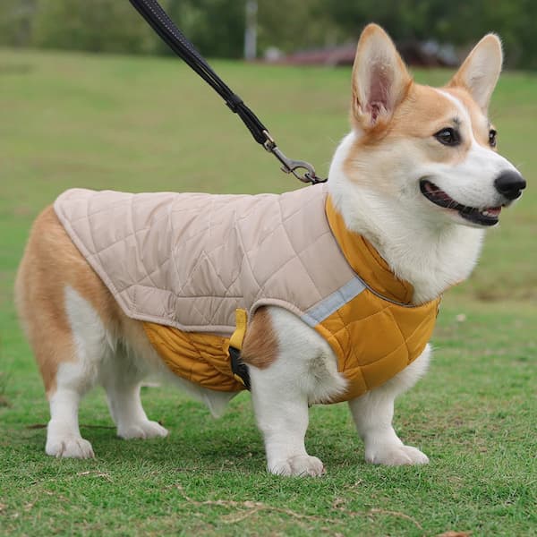 Chaqueta impermeable de invierno para perro con tiras reflectantes – Abrigo acolchado y cálido para perro con anilla en D para arnés (Tallas M-5XL, perros pequeños a grandes)