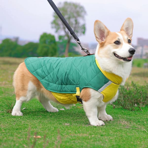 Waterproof Winter Dog Jacket with Reflective Strips – Padded Warm Dog Coat with D-Ring Harness Clip (Sizes M–5XL, Small to Large Dogs)