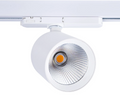 Projetor de trilho LED trifásico de 40W para açougues, driver Lifud Flicker Free