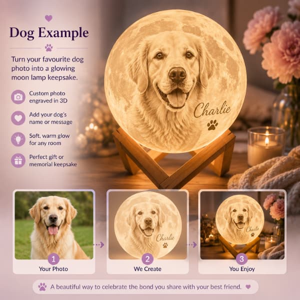 Personalisierte Haustier-Foto Mondlampe | Benutzerdefiniertes 3D-Nachtlicht