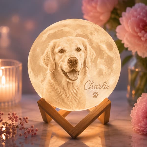 Personalized Pet Photo Moon Lamp | Custom 3D Night Light