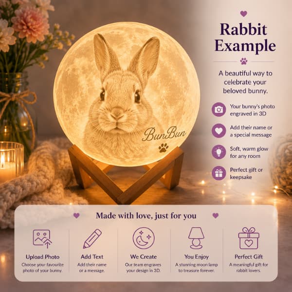Personalized Pet Photo Moon Lamp | Custom 3D Night Light