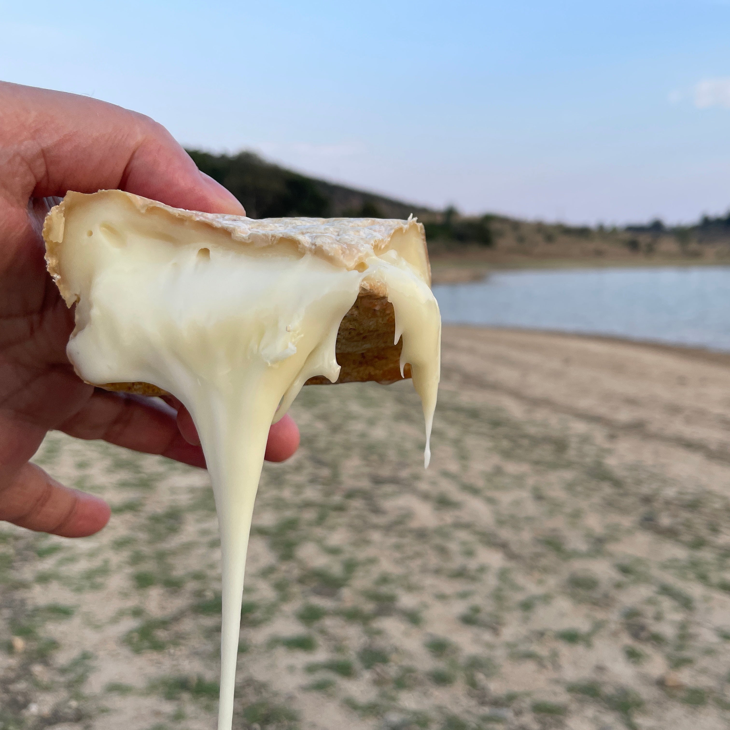 Queijo de Mistura Curado Artesanal | João Barata, Ovelha e Cabra