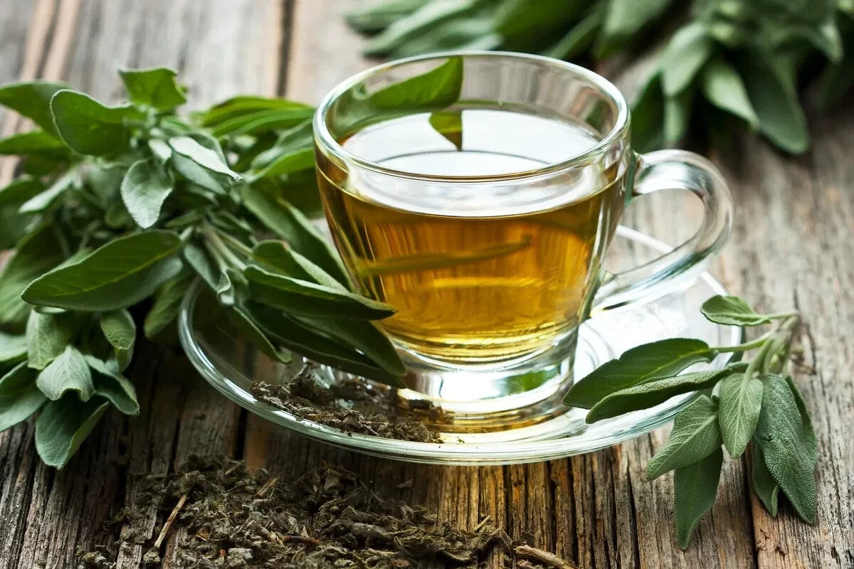 80g Premium Gorreana Green Tea Encosta de Bruma Loose Leaf from Azores Delicate